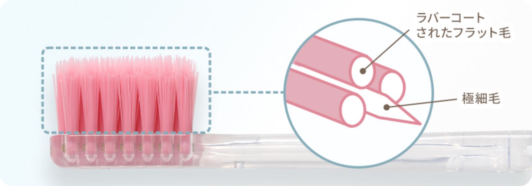 極細毛とフラット毛の画像